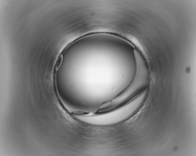 X0000094171181200711020934