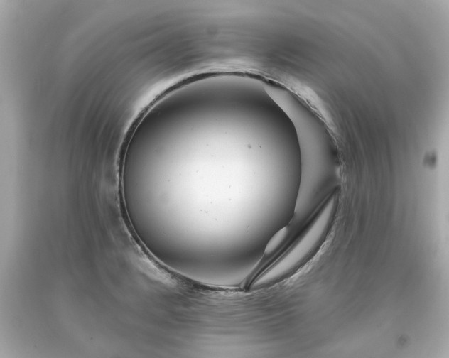X0000094171184200711020934