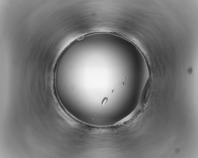 X0000094171187200711020933