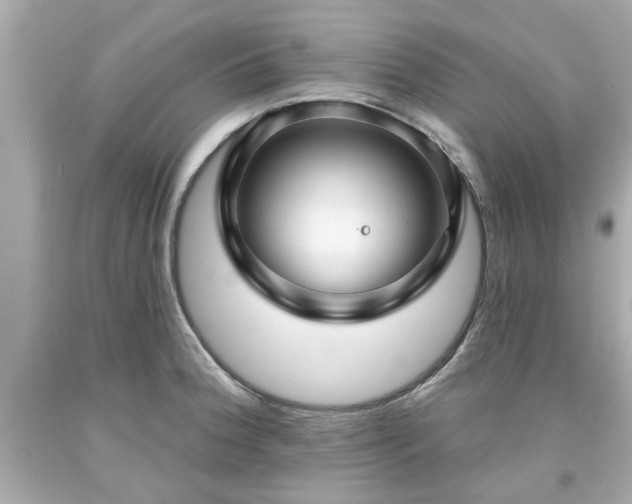 X0000094171188200711020933