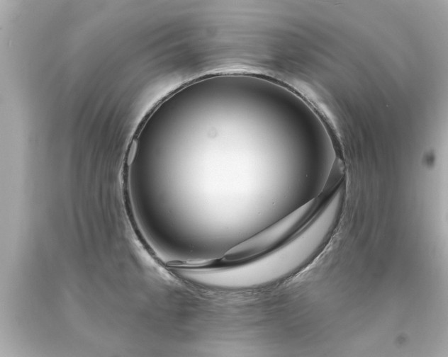 X0000094171189200711020933