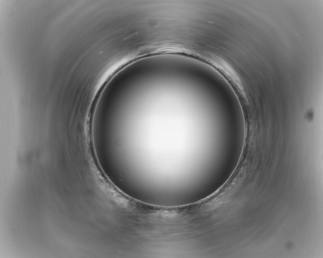 X0000094171190200711020933
