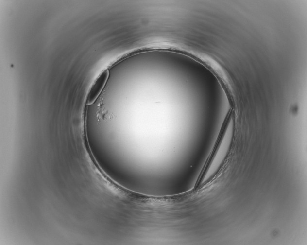 X0000094171191200711020933