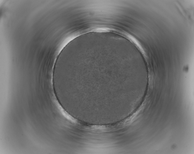 X0000094171194200711020933