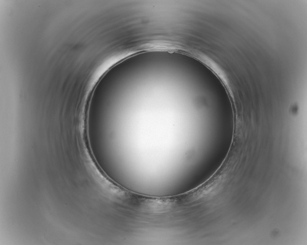 X0000094171195200711020933