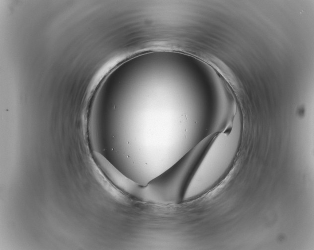 X0000094171196200711020933