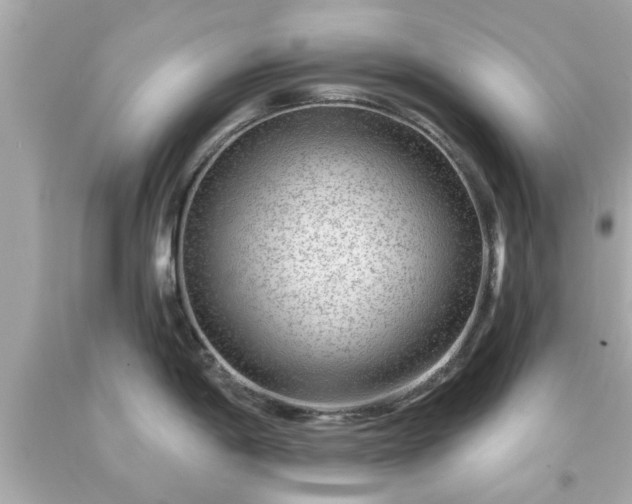 X0000094171198200711020933