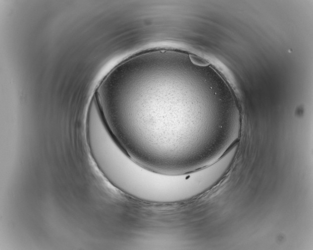 X0000094171199200711020933