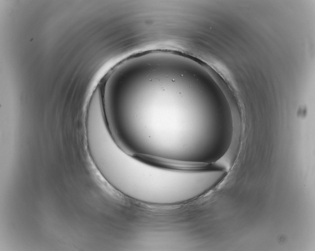 X0000094171200200711020933