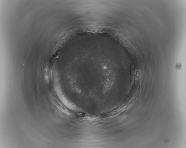 X0000094171202200711020932