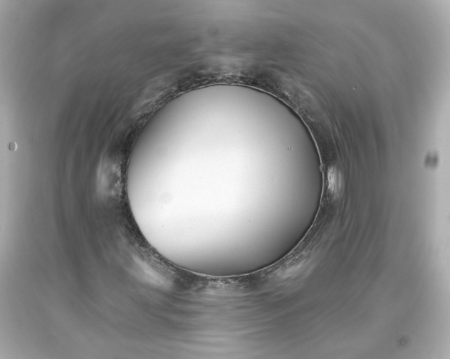 X0000094171203200711020933