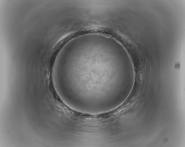 X0000094171206200711020933