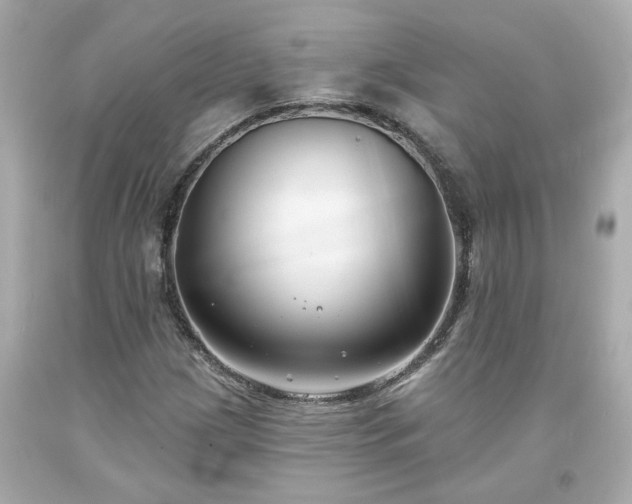 X0000094171209200711020933