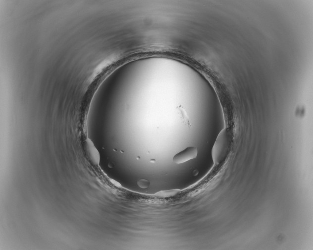 X0000094171210200711020933