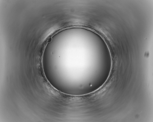 X0000094171211200711020933