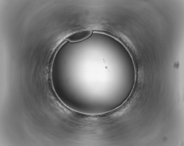 X0000094171212200711020933
