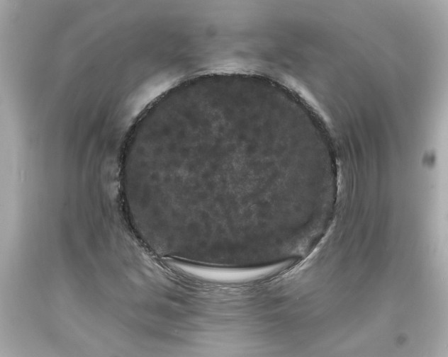 X0000094171213200711020933