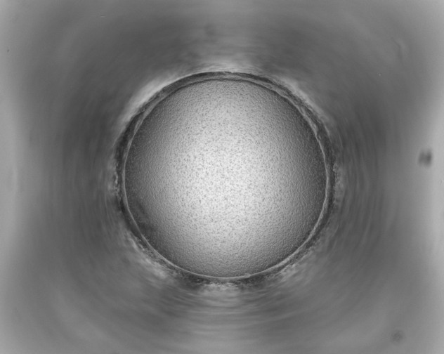 X0000094171215200711020933