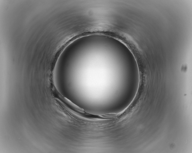 X0000094171217200711020933