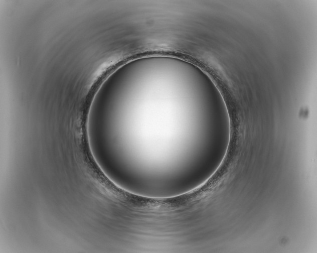 X0000094171218200711020933