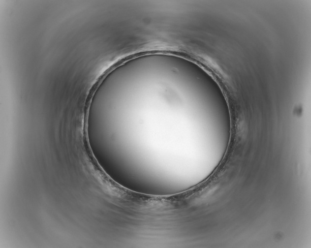 X0000094171220200711020933