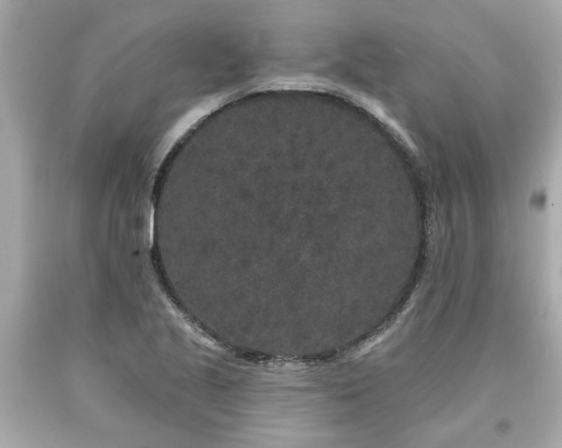 X0000094171221200711020933