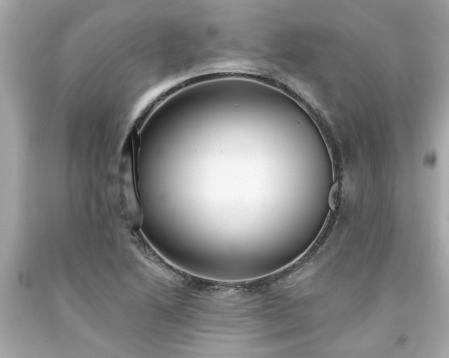 X0000094171222200711020933
