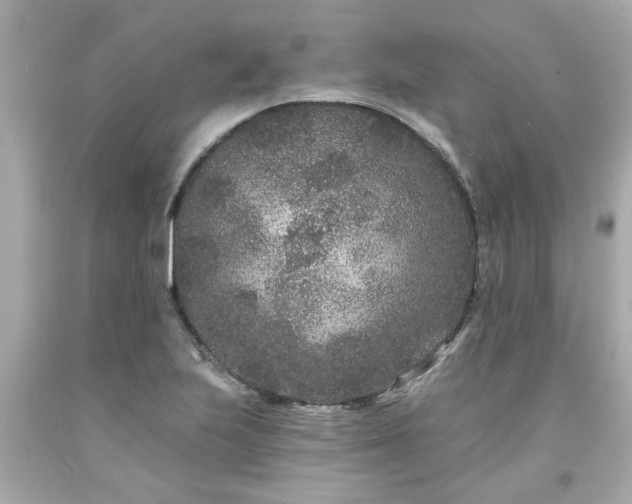 X0000094171223200711020933