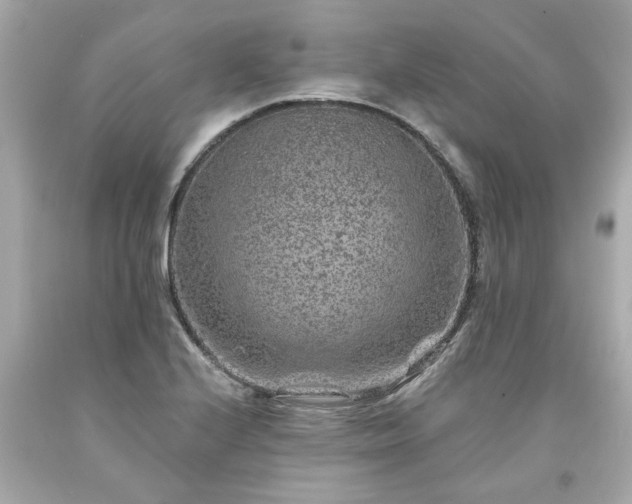 X0000094171224200711020933