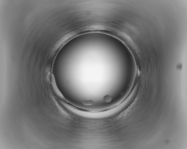 X0000094171225200711020933