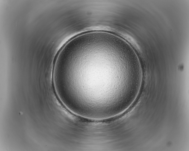 X0000094171228200711020933