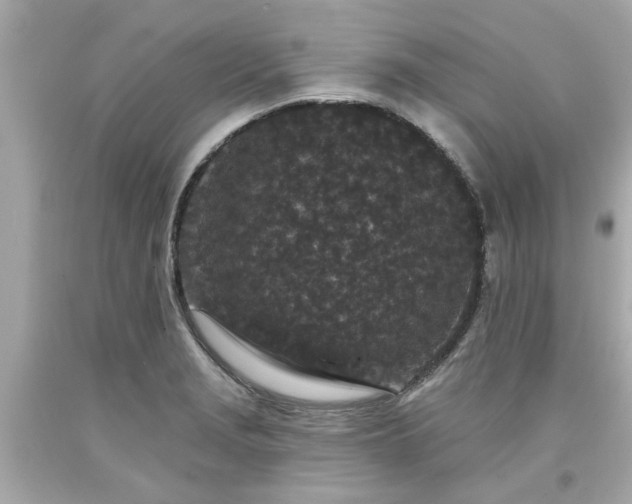 X0000094171229200711020933