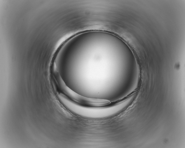 X0000094171230200711020933