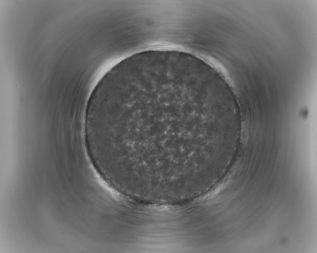 X0000094171231200711020933