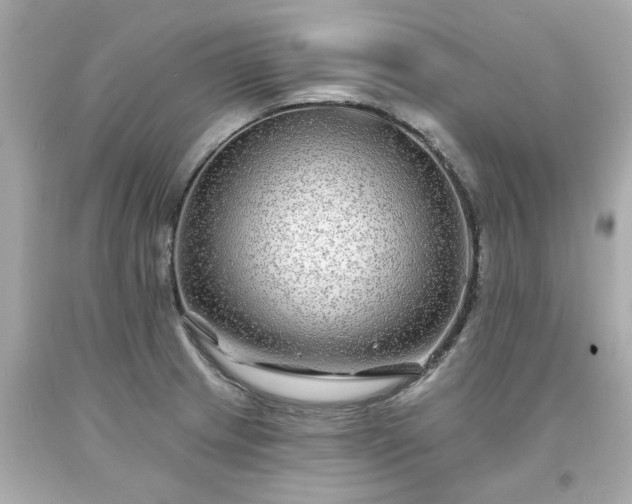 X0000094171233200711020933