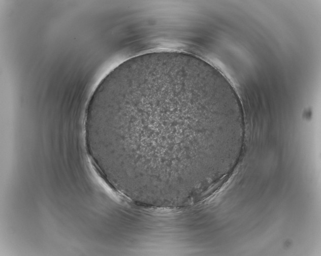 X0000094171235200711020933
