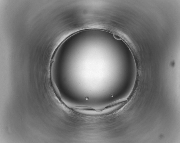 X0000094171236200711020933