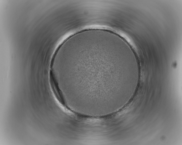 X0000094171237200711020933