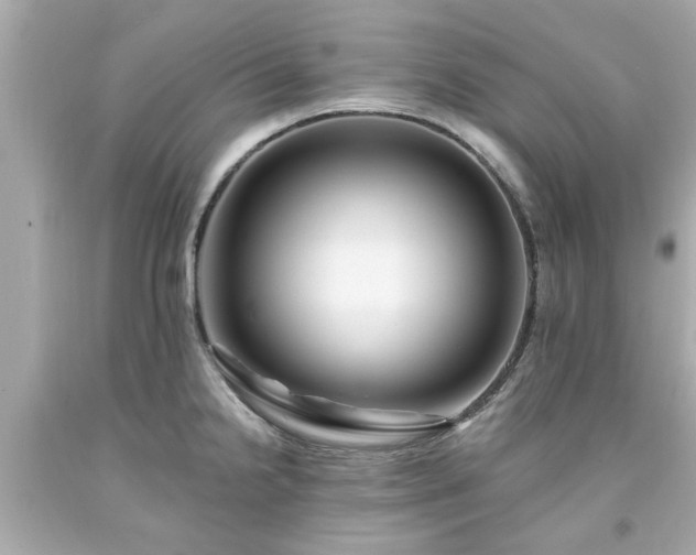 X0000094171238200711020933