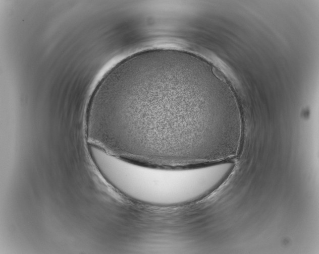 X0000094171240200711020933