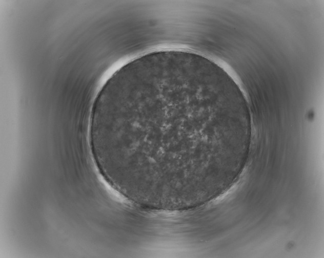 X0000094171245200711020933