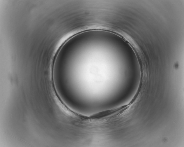 X0000094171246200711020933