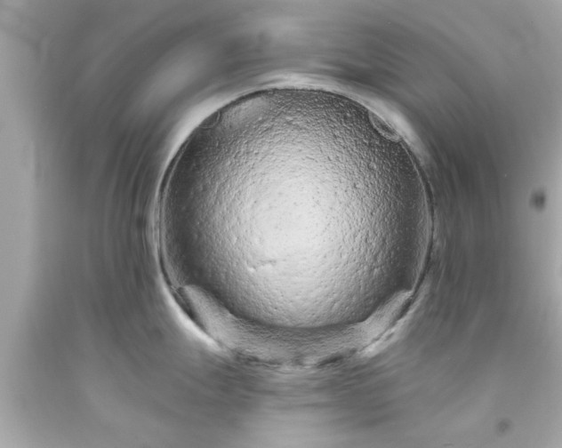 X0000094171247200711020933