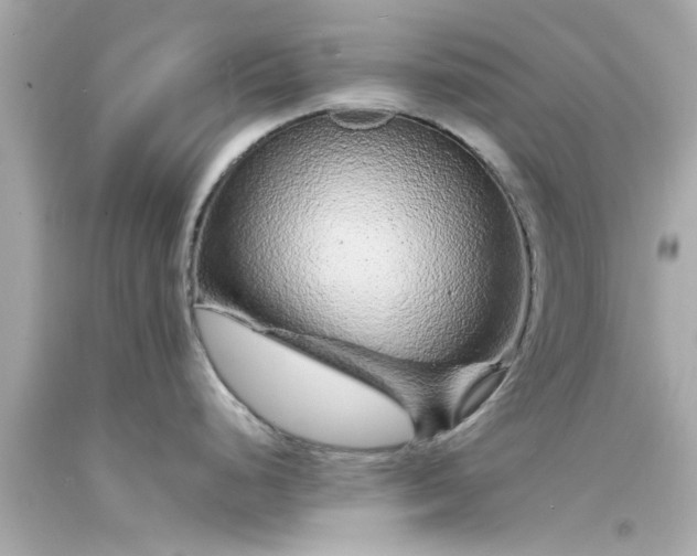 X0000094171248200711020933