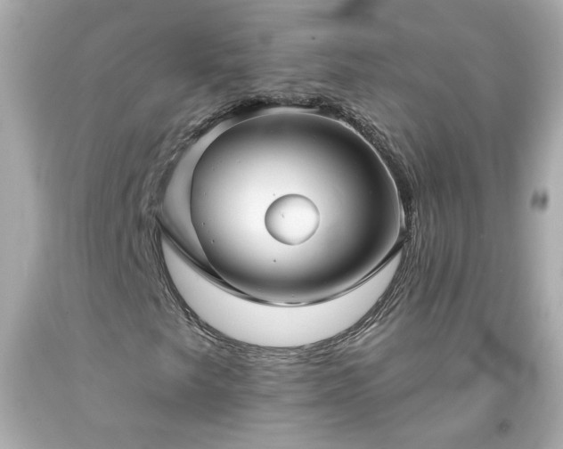 X0000094171249200711020932