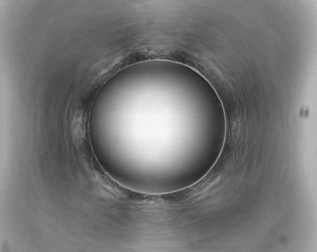 X0000094171250200711020932