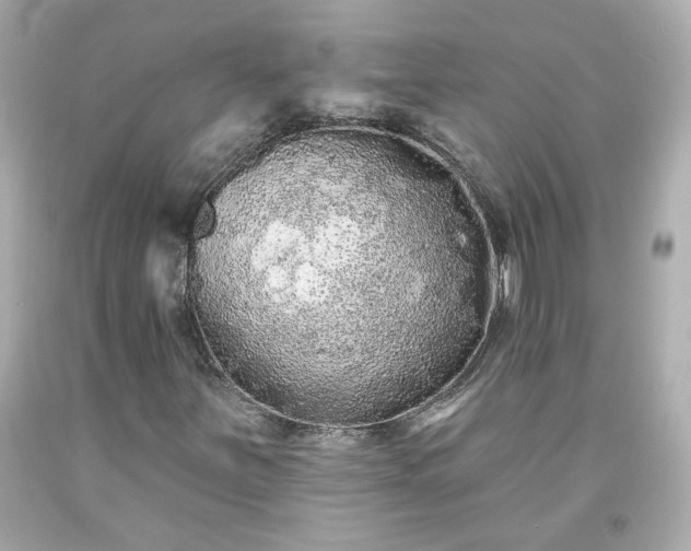 X0000094171251200711020932