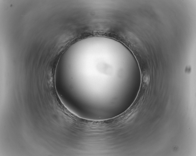 X0000094171252200711020932