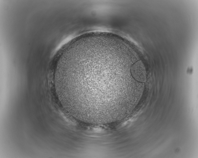 X0000094171255200711020932