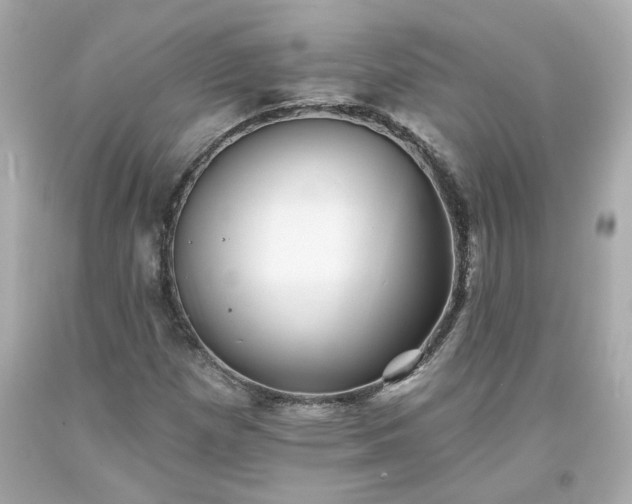 X0000094171257200711020932